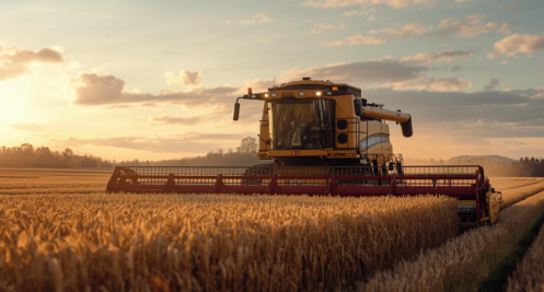 On ne juge pas, on anticipe avec un regard humain  